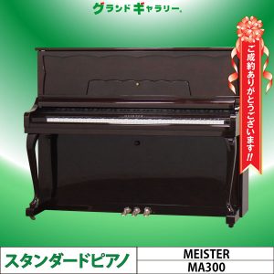 愛知県Y様　MEISTER　MA300