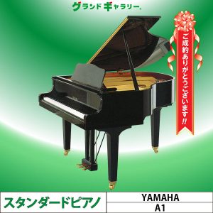 愛知県T様のお声　YAMAHA　A1