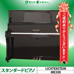 愛知県知立市M様のお声　LICHTENSTEIN　MK300