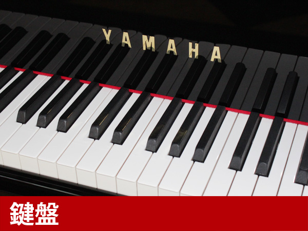 検索結果 売約済 中古グランドピアノ Yamaha ヤマハ C5 演奏